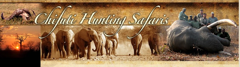 chifuti hunting safaris